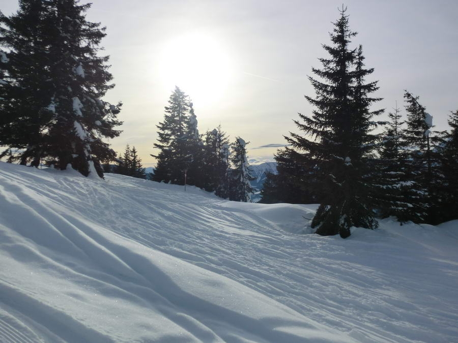 02- Dachstein, Rodeln, Geischl 094